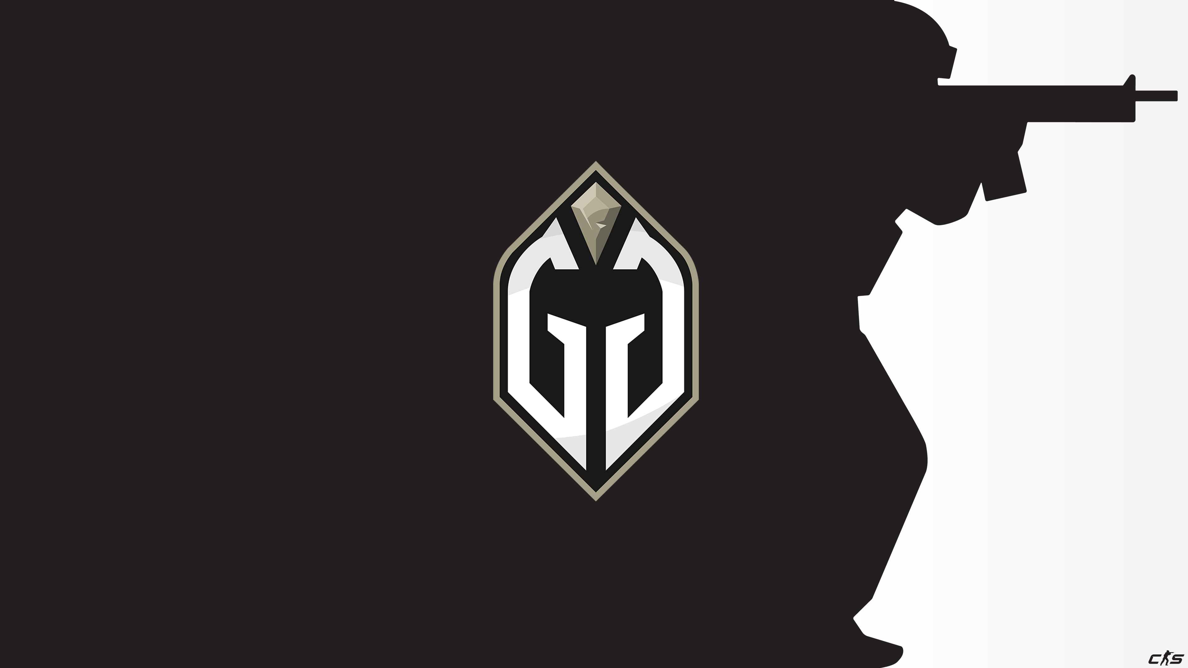 CS2 - Gaimin Gladiators v1