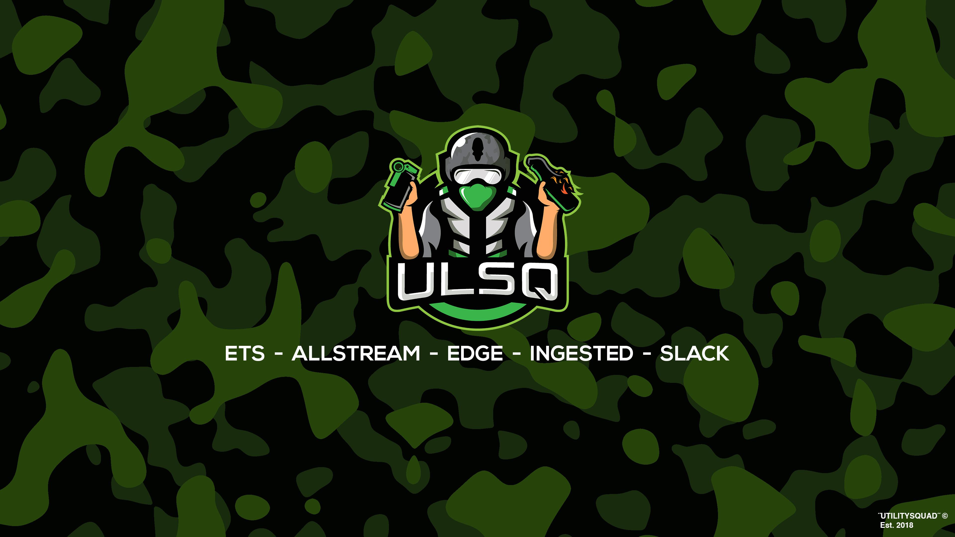 Utilitysquad Camouflage Wallpaper