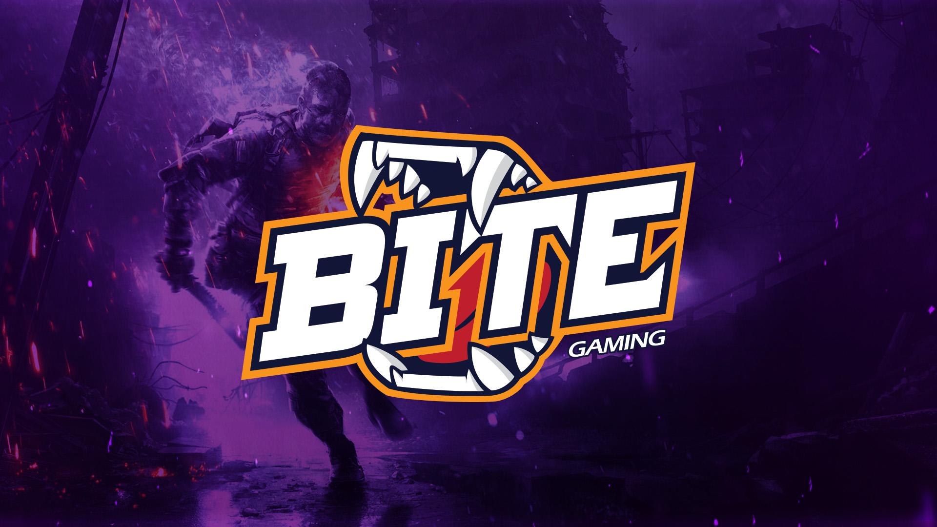 Bite Gaming BF4 Wallapper