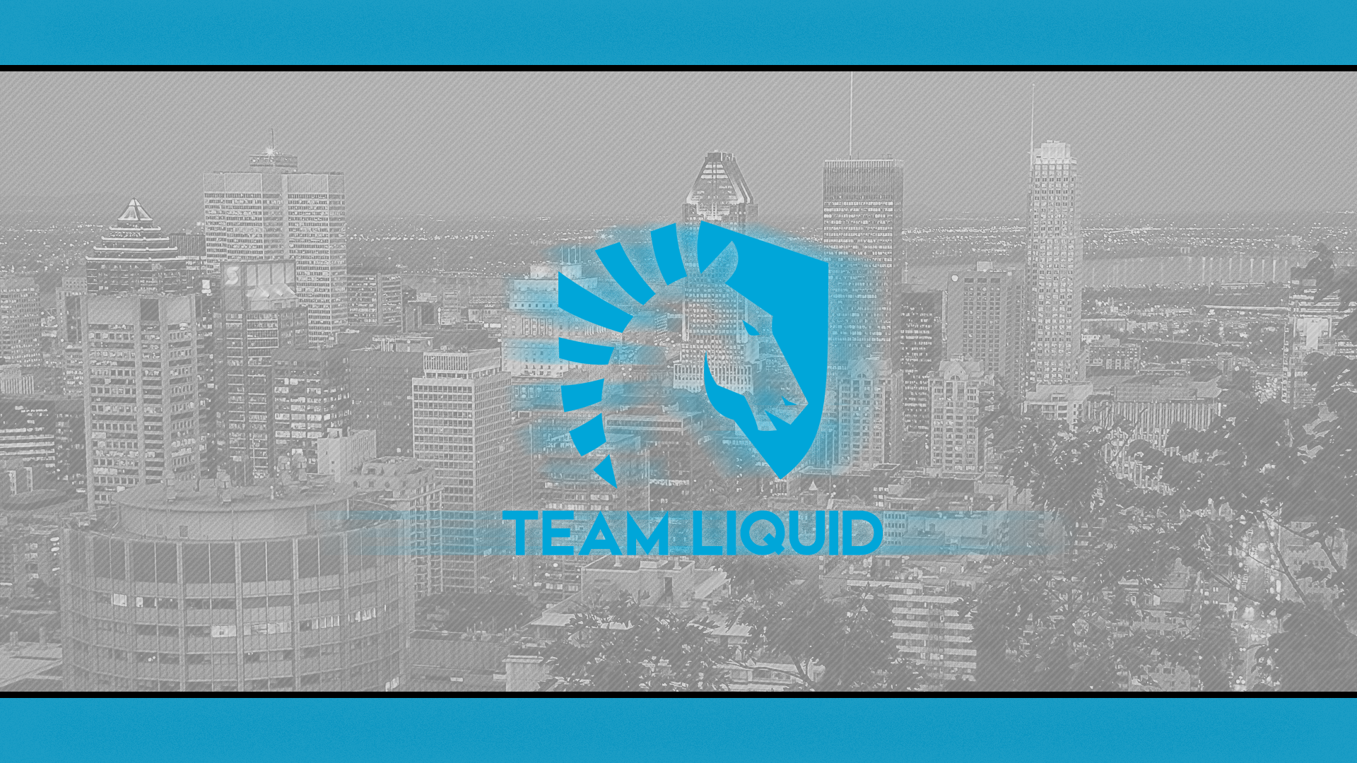 Team Liquid