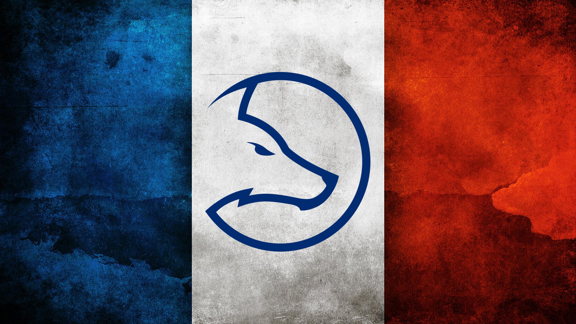 Team LDLC