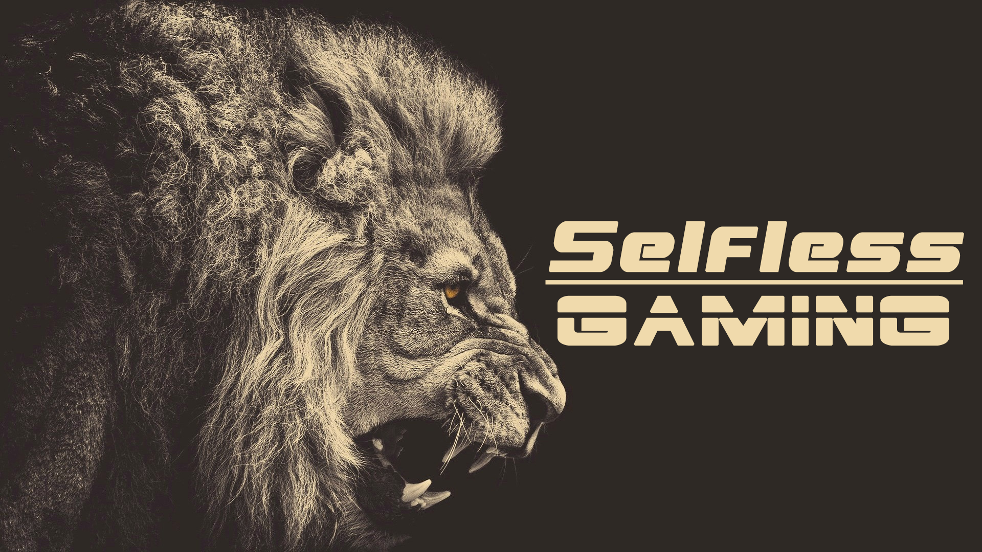 Selfless Gaming