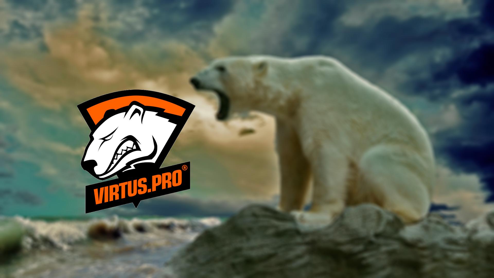 VP Bear