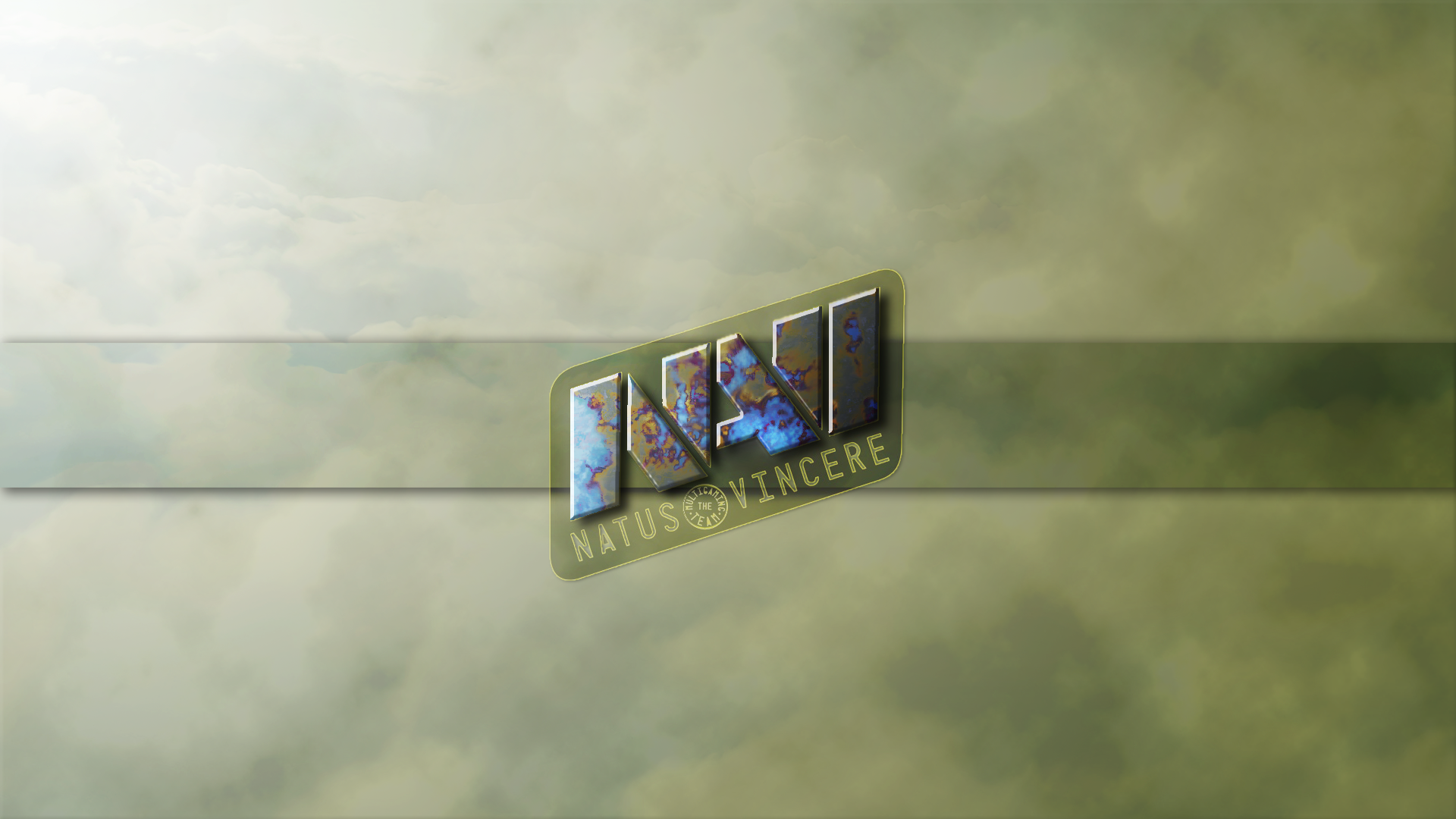 Na\'Vi | Case Hardened