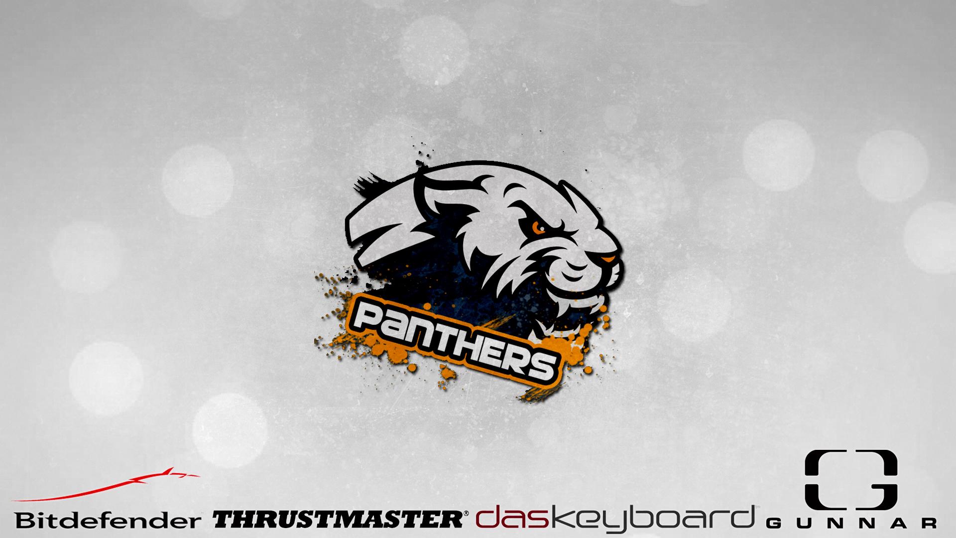 THE PANTHERS