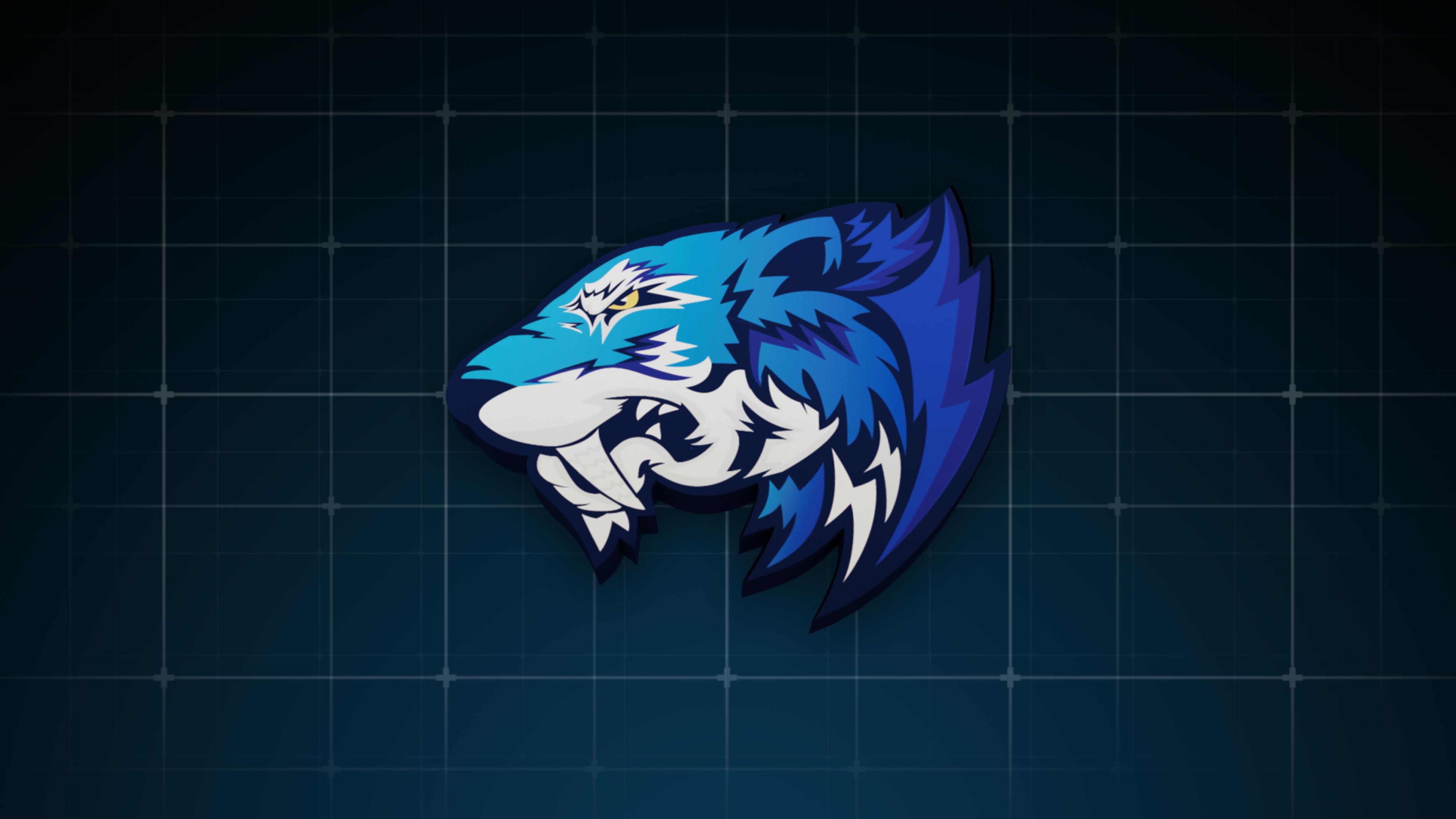 Flash Gaming 3D 1