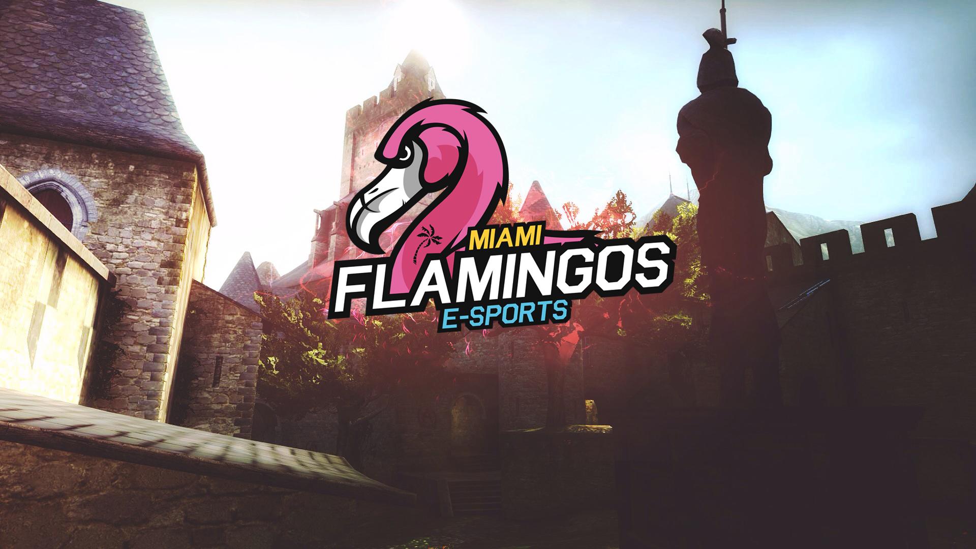 MiamiFlamingos Cobblestone 