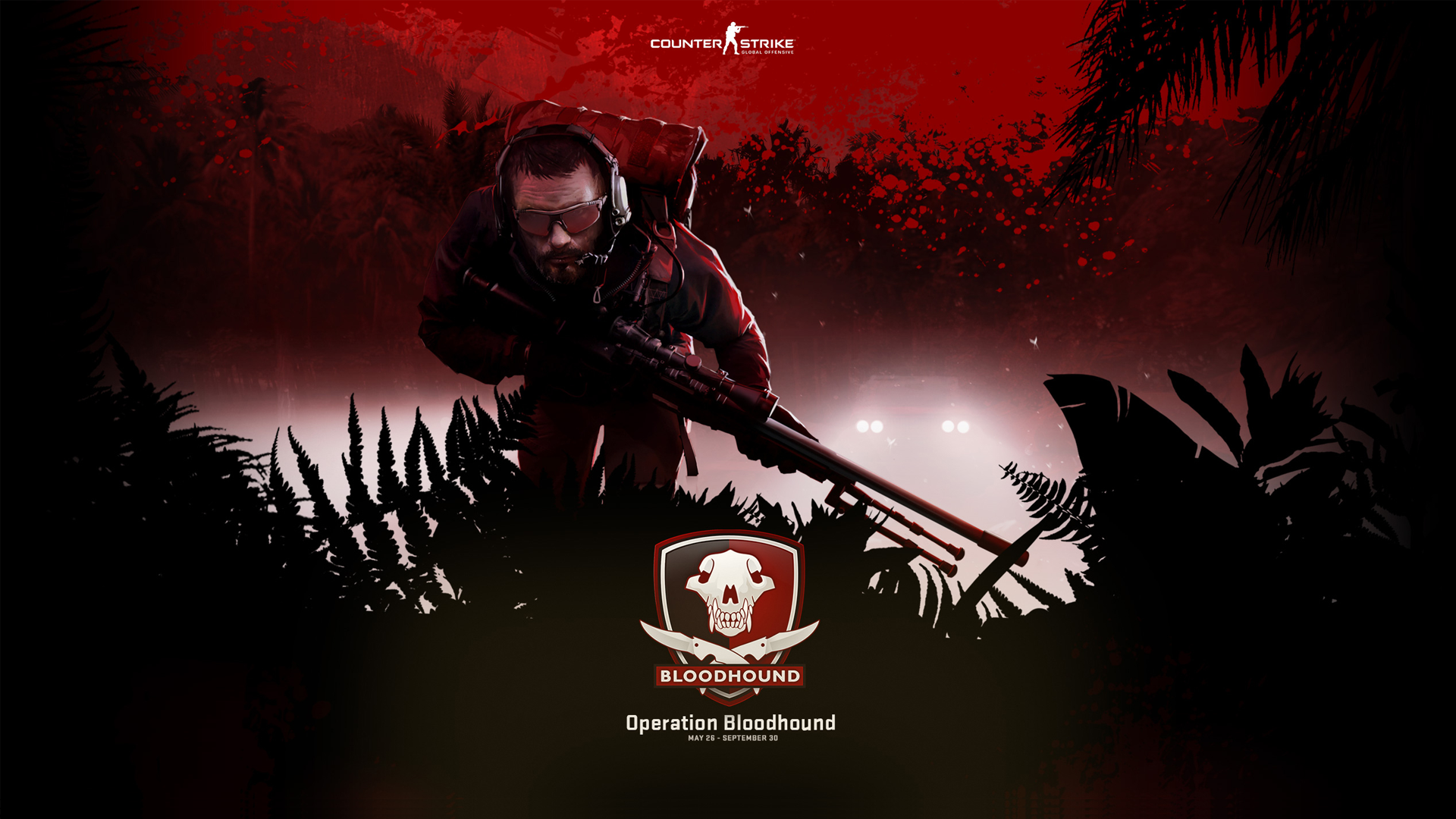Operation Bloodhound