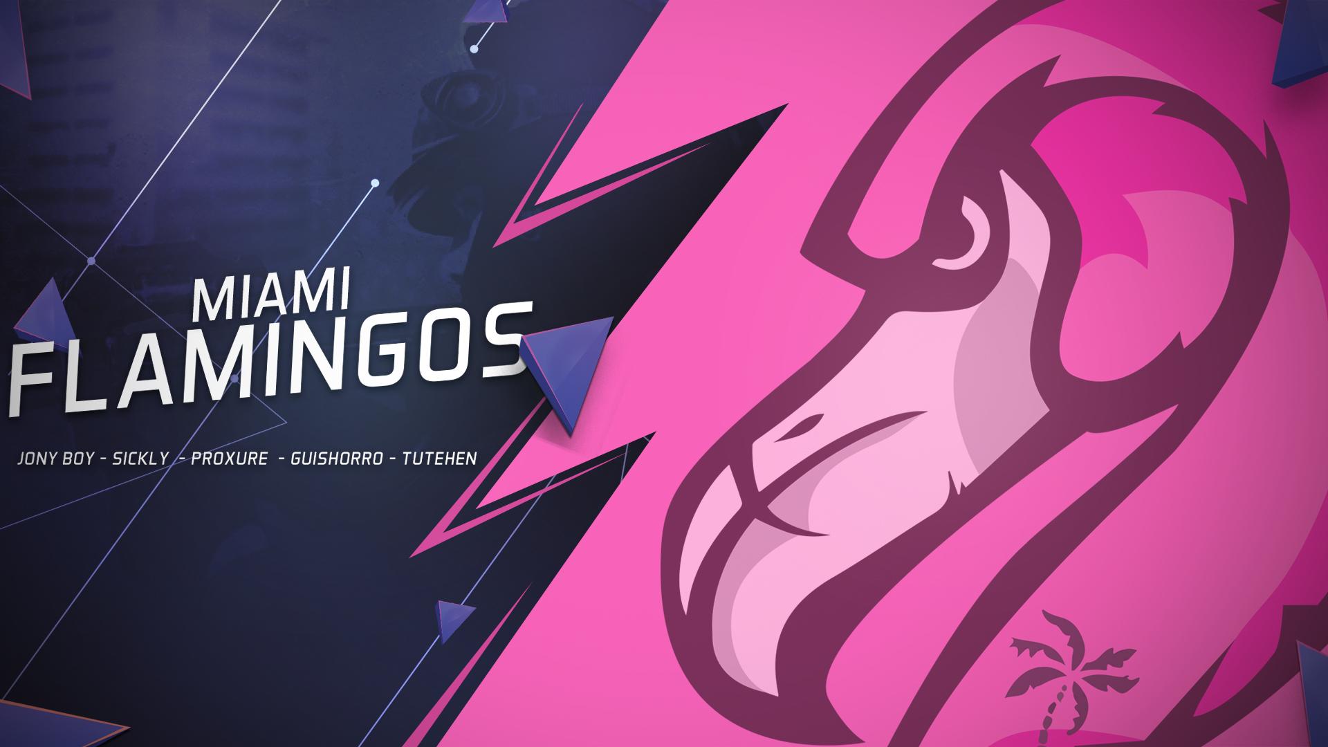 Miami Flamingos 