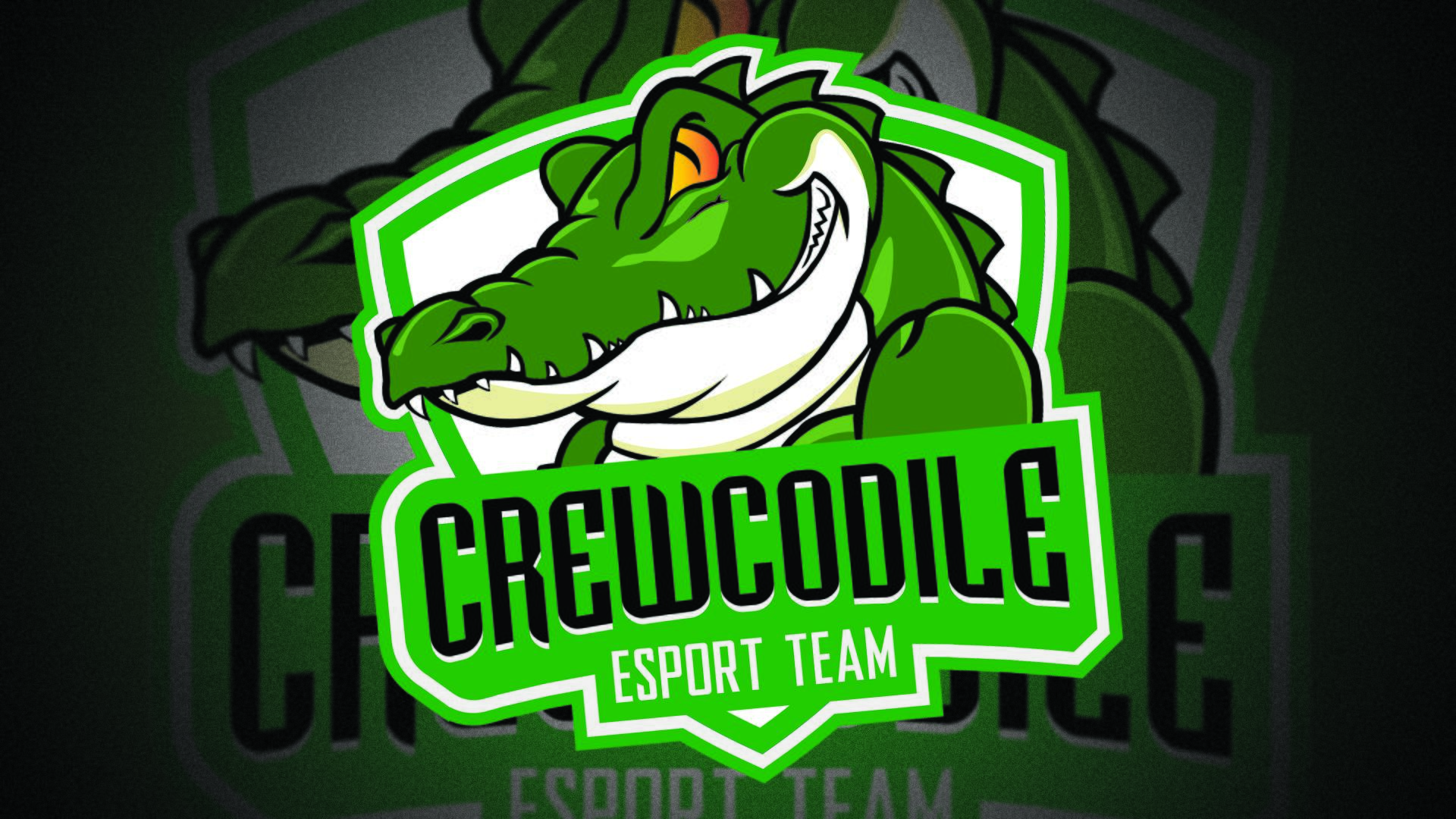 CREWcodile