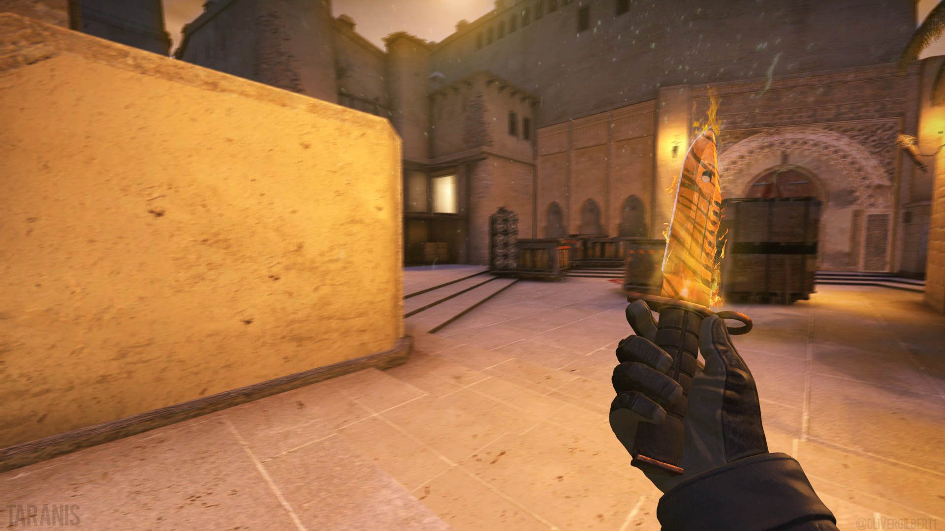 Tiger Tooth