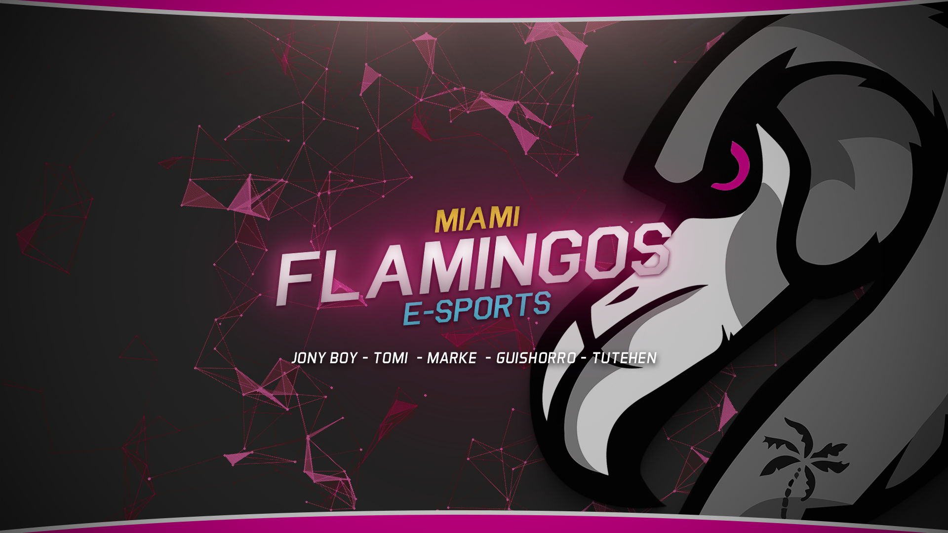 Miami Flamingos 