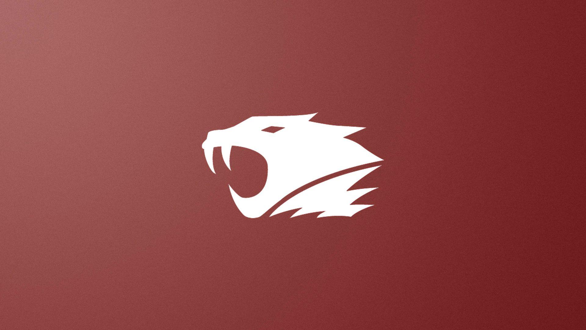 IBP 