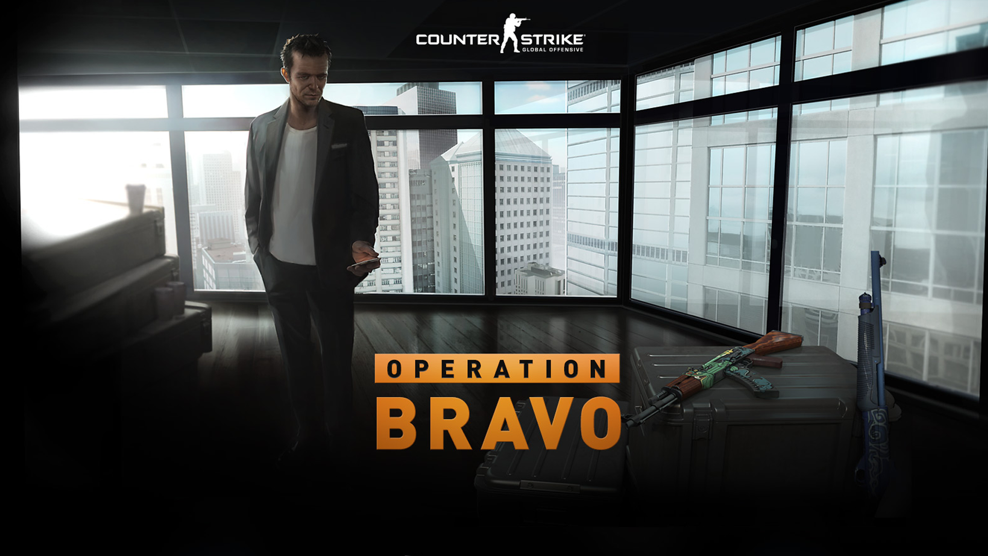 Operation Bravo