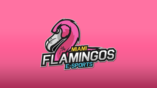 Miami Flamingos — 1920×1080