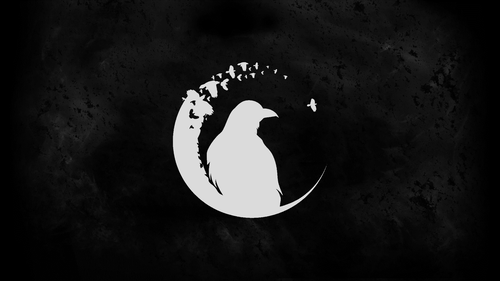 Corvidae — 1920×1080