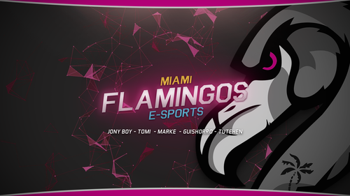 Miami Flamingos  — 1920×1080